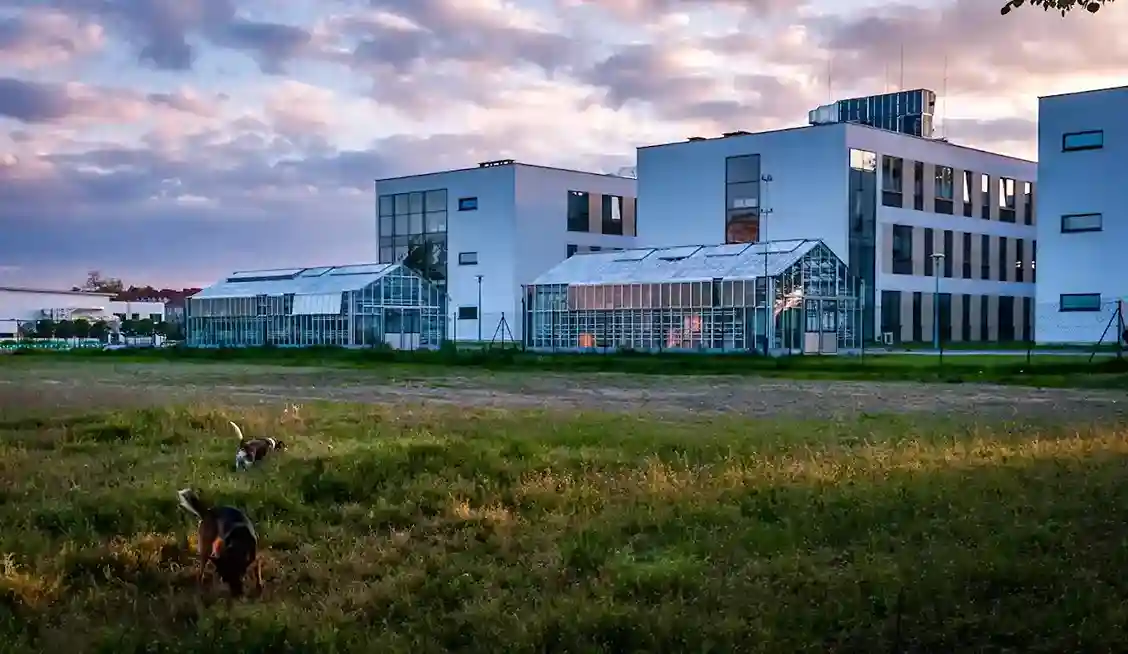 Nowoczesny budynek Uniwersytetu Przyrodniczego w Poznaniu – hologramy kolekcjonerskie studenckie UPP i naklejki do legitymacji