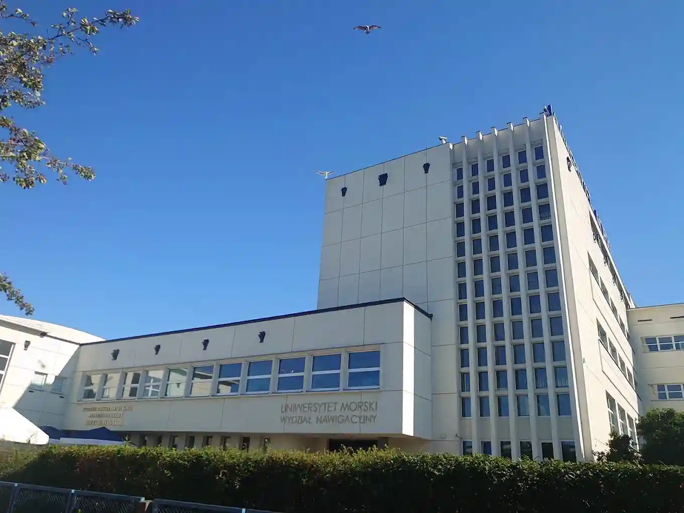 Naklejki kolekcjonerskie do legitymacji studenckiej UMG – Uniwersytet Morski w Gdyni