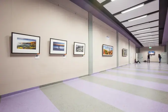 Wystawa fotografii na Uniwersytecie Bielsko-Bialskim – studenckie hologramy kolekcjonerskie UBB